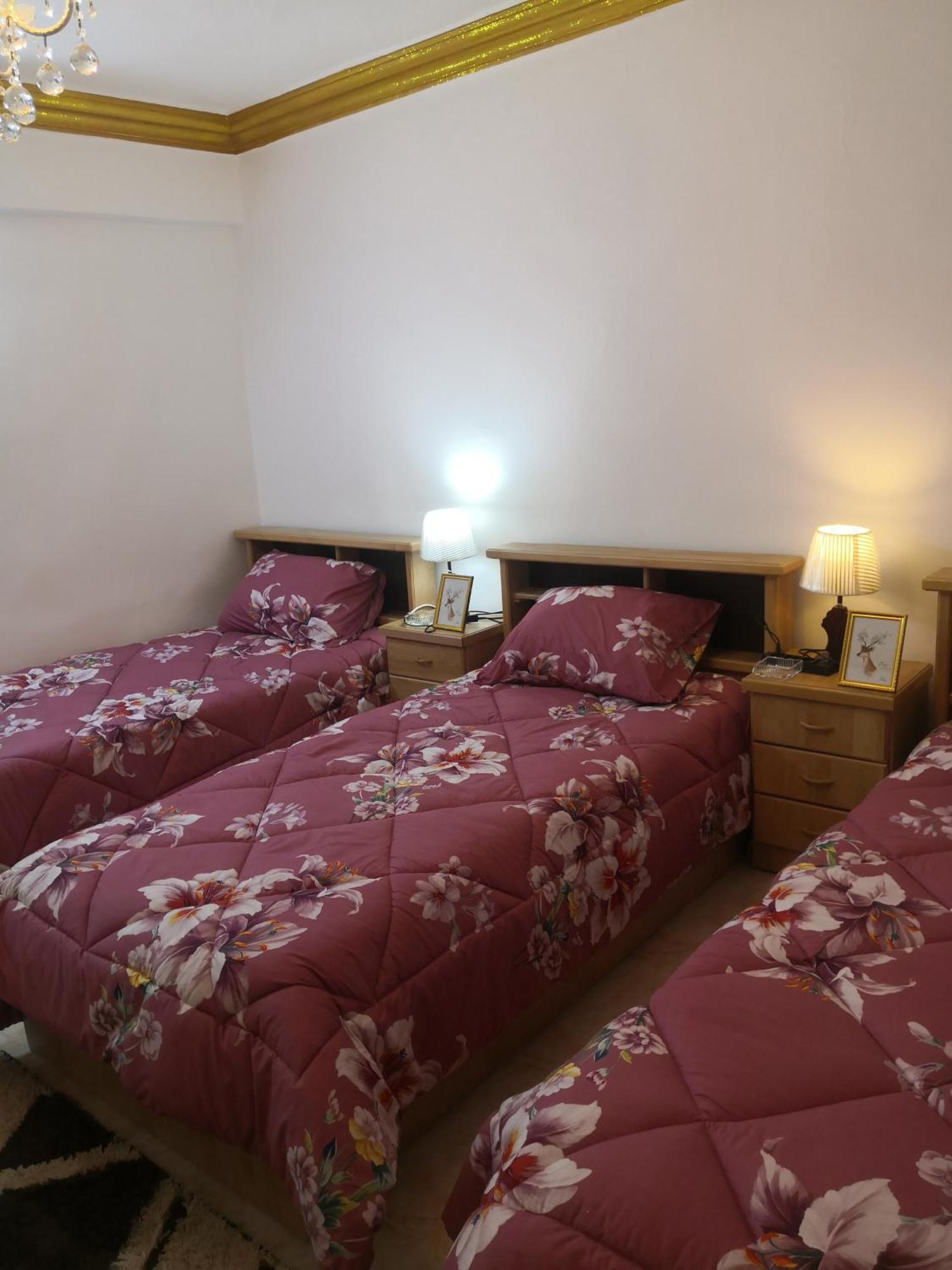 White Tulips Apartment الزنبقة البيضاء Gerasa Exterior foto