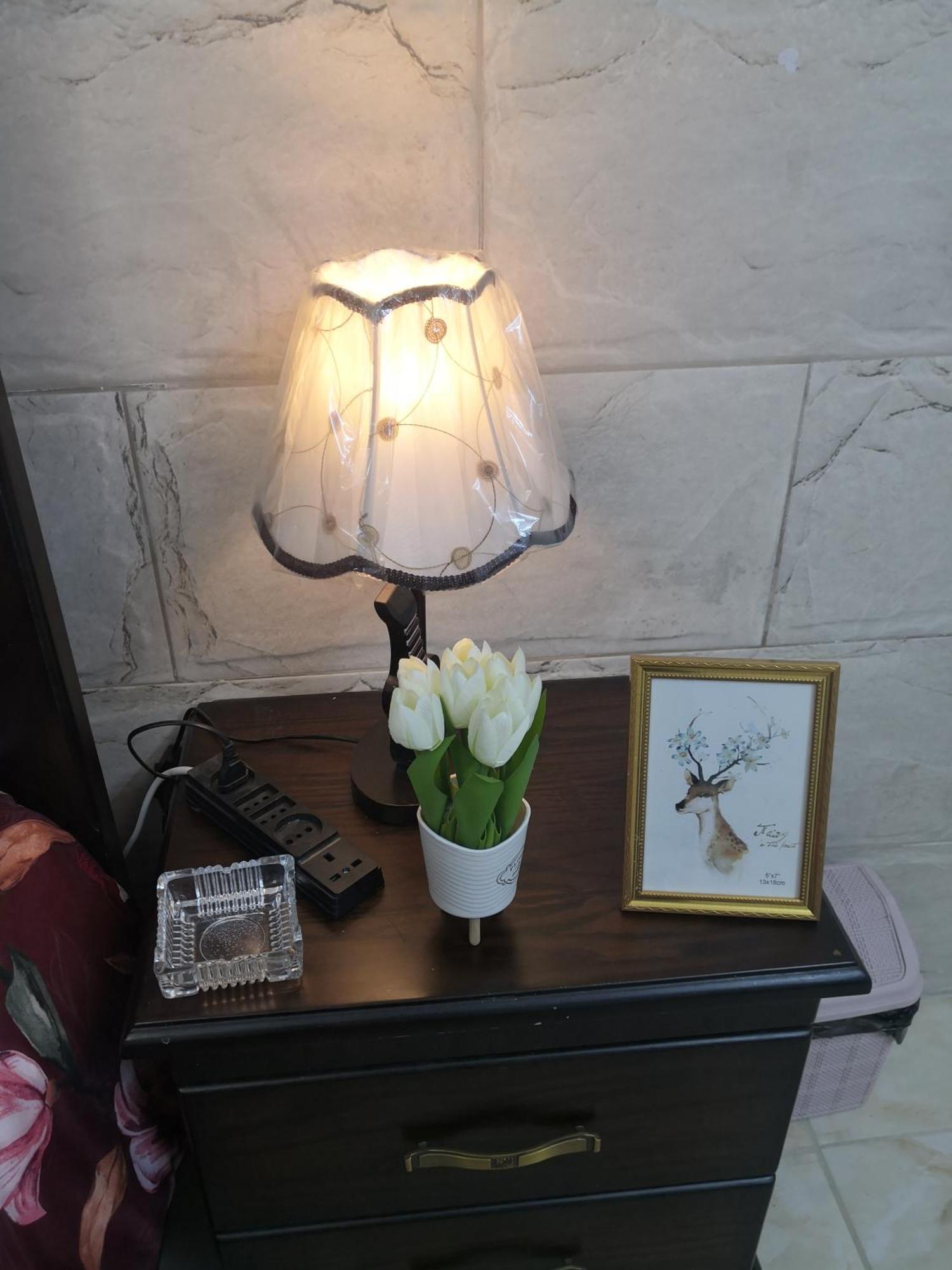 White Tulips Apartment الزنبقة البيضاء Gerasa Exterior foto