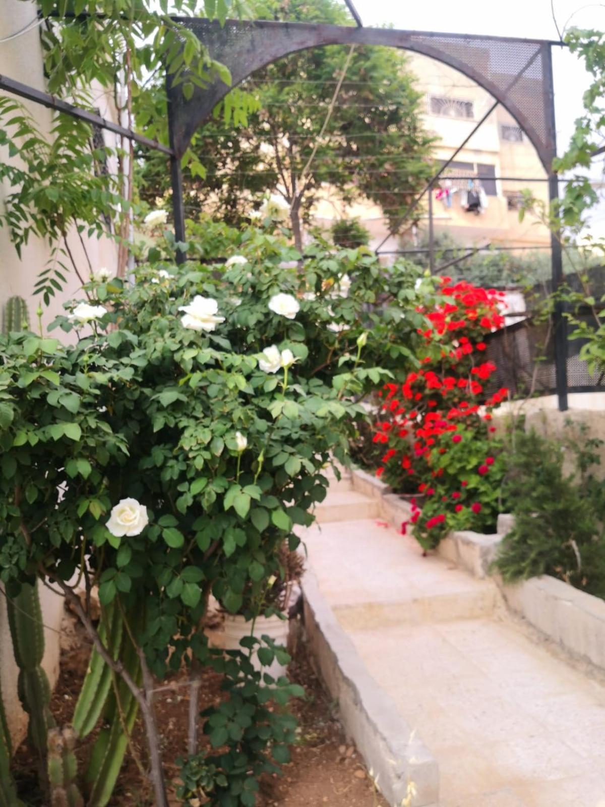 White Tulips Apartment الزنبقة البيضاء Gerasa Exterior foto